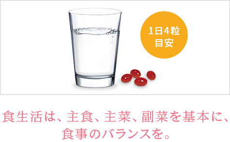 使用方法・取り扱い上の注意