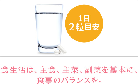 使用方法・取り扱い上の注意