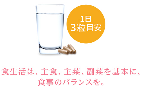 使用方法・取り扱い上の注意