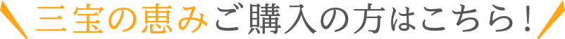 オススメの三宝の恵みはこちら